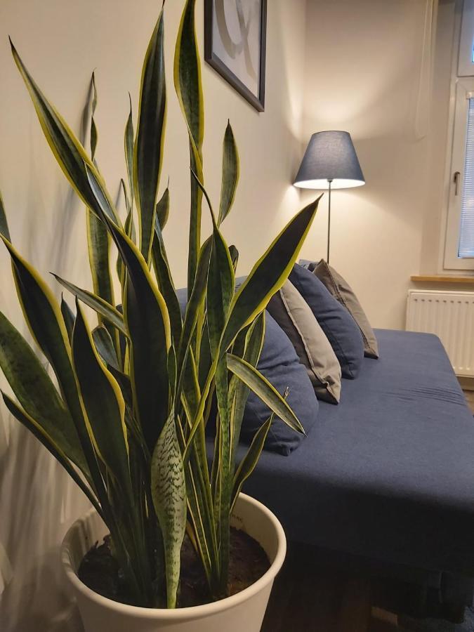 Apartament Na Wyspie Ополе Экстерьер фото